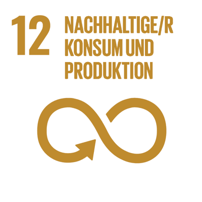 Icon SDG 12 nachhaltige/r Konsum und Produktion