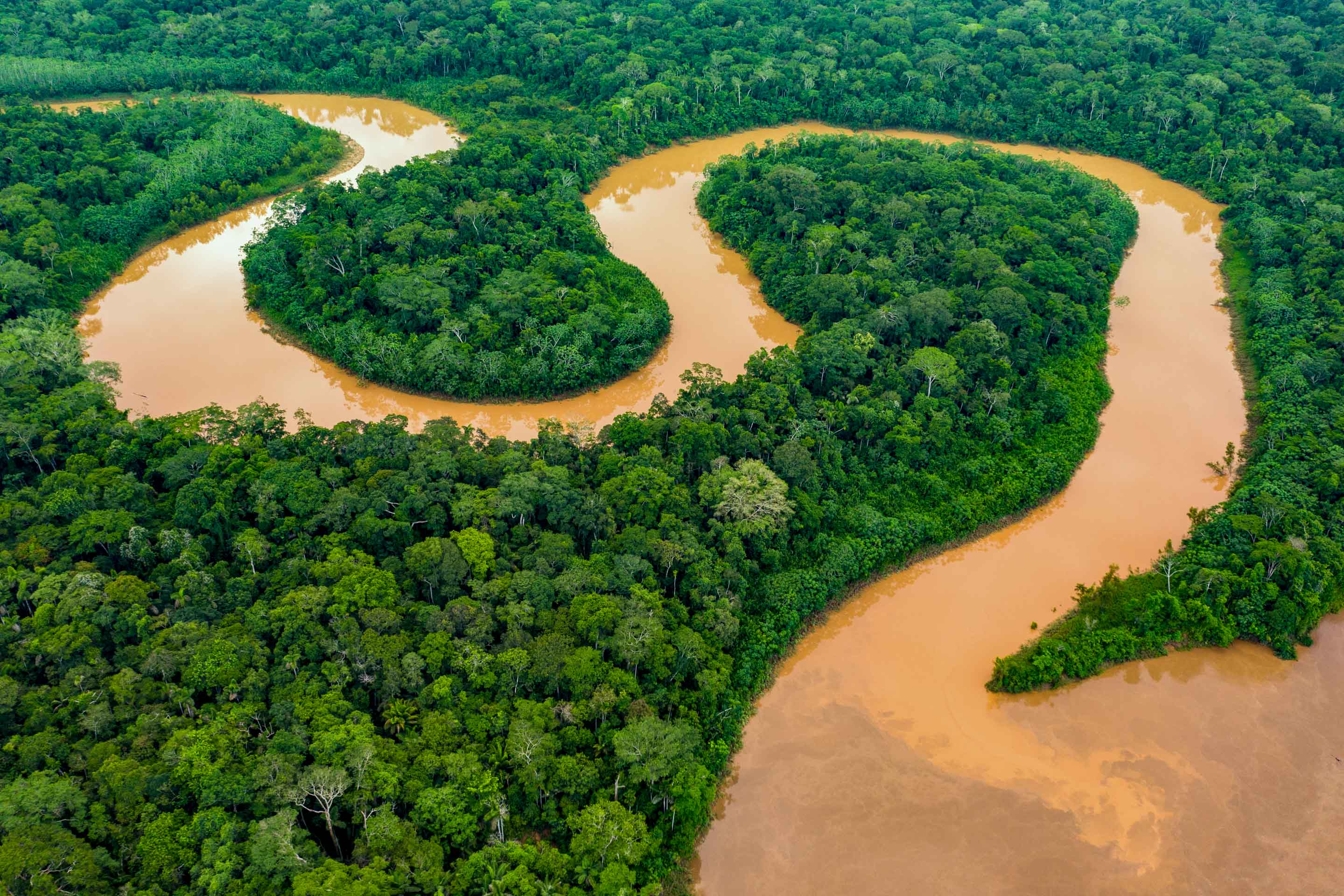 Wilderness International